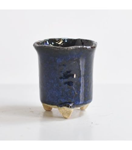 Amazon.co.jp: 京楽焼鉢 万年青 4.0号 : DIY・工具・ガーデン